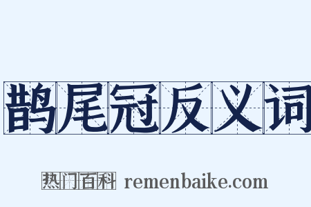 鹊尾冠反义词是什么意思的图片